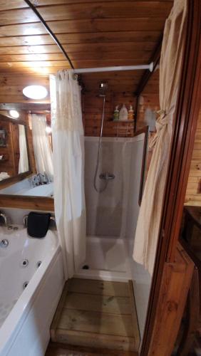 a bathroom with a shower and a bath tub at צימר בגליל אביב בבקתה in Galilee
