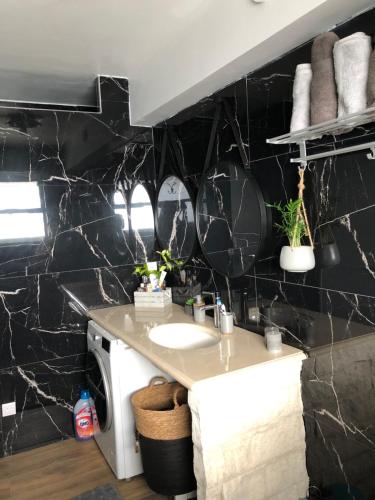 une salle de bain avec un lavabo et une machine à laver dans l'établissement Marina06, à Villeneuve-Loubet