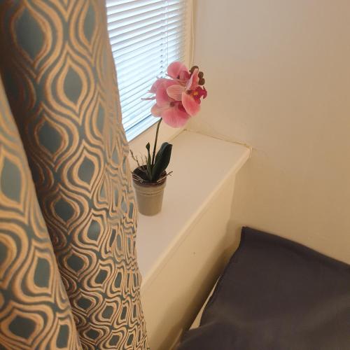 a flower in a pot on a window sill at Magyartenger Apartman Balatonlelle in Balatonlelle