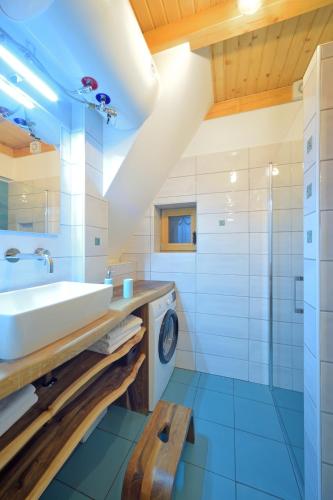 a bathroom with a sink and a washing machine at Granaries Pear & Walnut in Tolmin