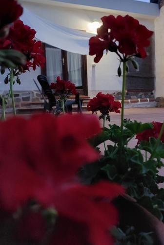 Ein Garten an der Unterkunft Arcamyrtus