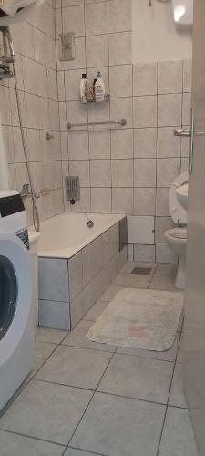 a bathroom with a shower and a sink and a toilet at Senia Retro in Senj