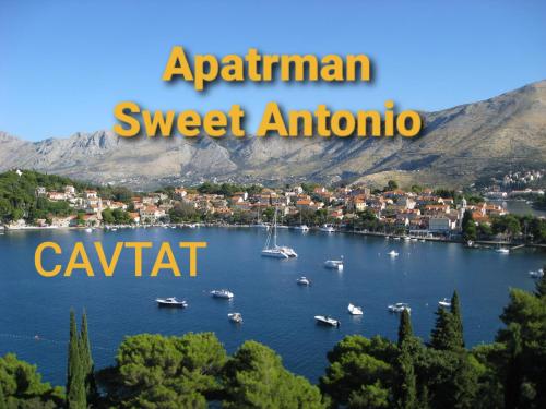 Sweet Antonio