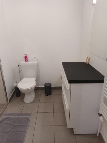 La salle de bains est pourvue de toilettes blanches et d'un comptoir noir. dans l'établissement NOVEA, à Reims