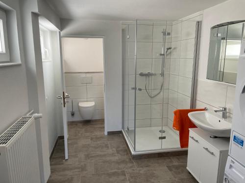 a bathroom with a shower and a sink at Ferienwohnung im Grünen in Lebach