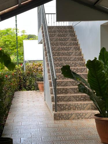 a set of stairs in a house with a plant at Hotel Cabinas el Tecal in Uvita