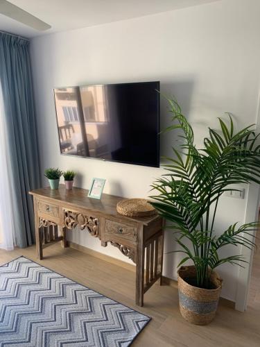 een woonkamer met een tv en een tafel met een plant bij TENERO APARTAMENTO TENERIFE EL DORADO in Playa de las Americas