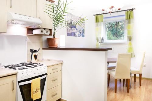 una cucina con piano cottura e tavolo con sedie di Lovely Garden Flat near Royal Park a Varsavia