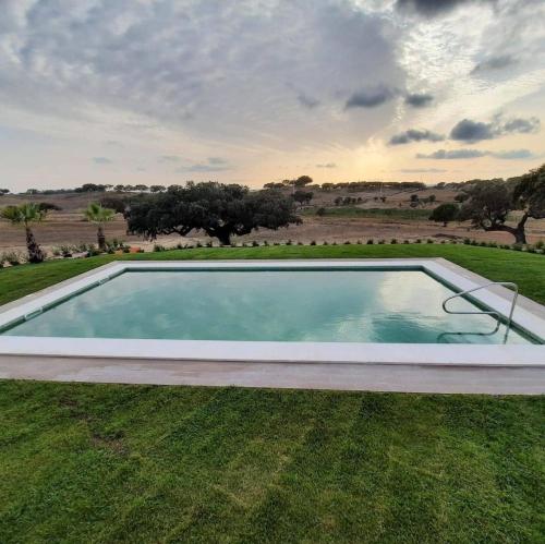 a swimming pool in the middle of a grass field at Herdade Monte Gordo in Ourique
