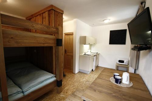 a small room with a bunk bed and a television at Janova Bouda in Dolni Dvur