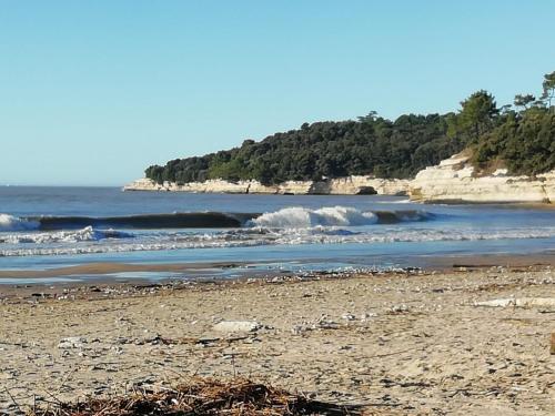 a sandy beach with waves in the ocean at Location saisonniere in Cozes