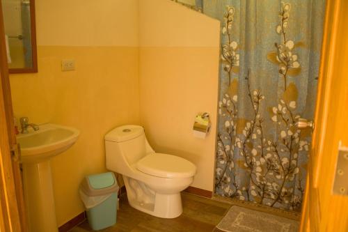 a bathroom with a toilet and a sink and a shower at Green House in Samen