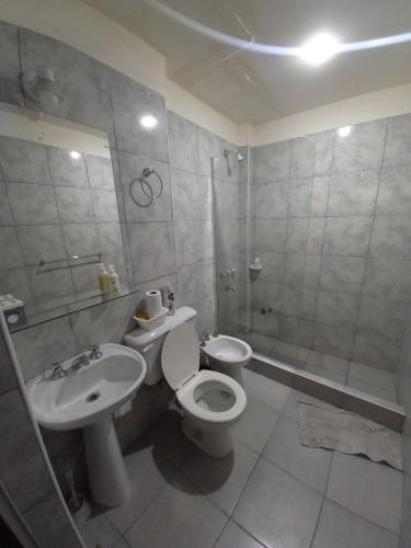 ein Bad mit einem WC, einem Waschbecken und einer Dusche in der Unterkunft LA RUFINA in Salta