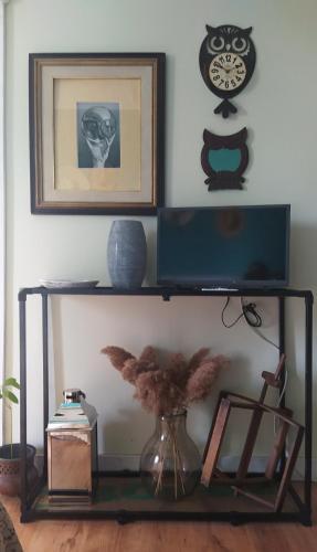 a shelf with a television on top of it at Le Stanze di Matilde in Crevalcore