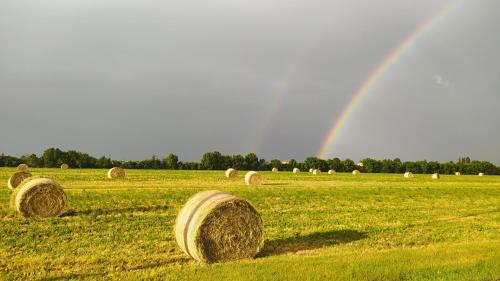 a group of hay bales in a field with a rainbow at Le Stanze di Matilde in Crevalcore