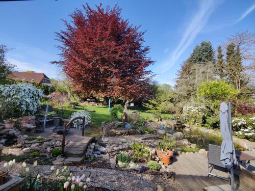 Gallery image of Wintergarten am Thingplatz in Rinteln