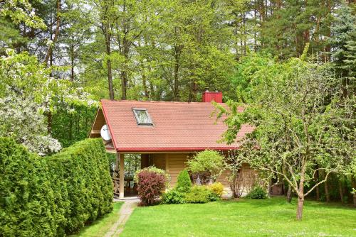 Medaus pirtelė – صور 2