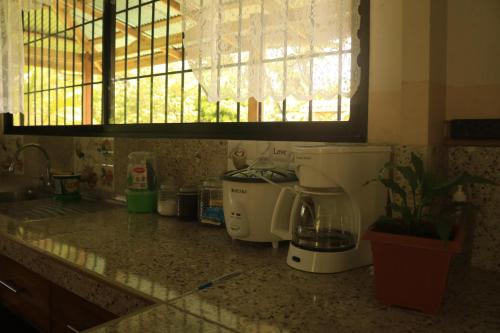 Green House – Photos 2