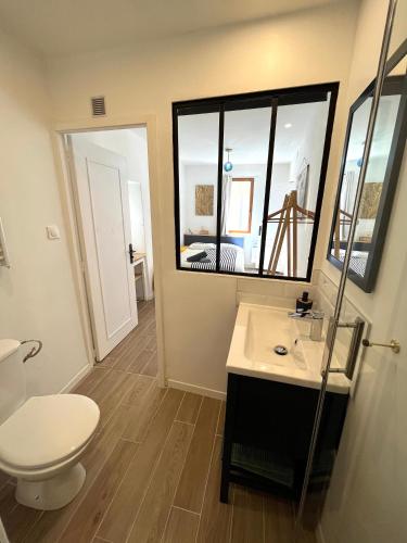 une salle de bain avec toilettes, lavabo et miroir dans l'établissement Nuit bleue - tout Grasse à pied !, à Grasse