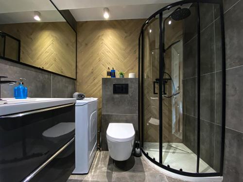 Ένα μπάνιο στο BP Apartment VI