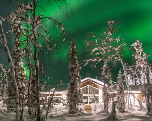 an aurora shines in the sky above a house with trees at Foxfires Private Boutique Guesthouse in Levi