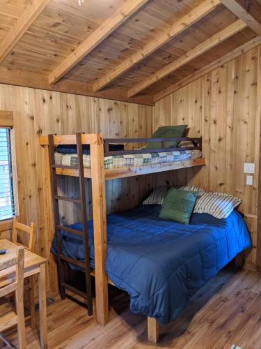 1 Schlafzimmer mit 2 Etagenbetten in einer Hütte in der Unterkunft Camp Almanor at Big Springs in Westwood