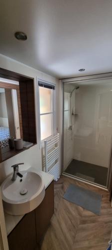 un bagno con lavandino e doccia di Mobile home avec terrasse et piscine. a Hourtin