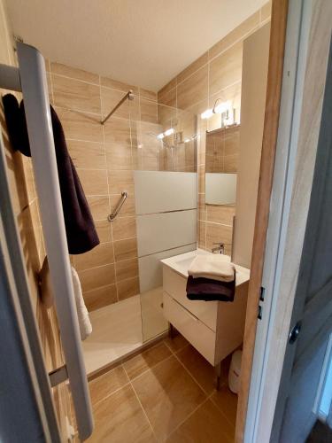 une salle de bain avec douche et lavabo dans l'établissement 11 le tadorne, à Aigues-Mortes