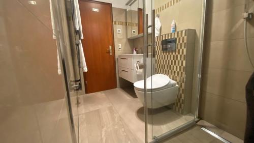 a small bathroom with a toilet and a shower at Stilvolle Wohnung in idyllischer Lage in Bad Säckingen
