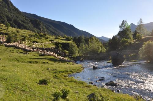 a river with a herd of sheep in a field at Apartaments la Peguera in Bohí
