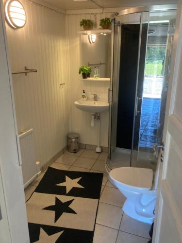 uma casa de banho com um chuveiro, um WC e um lavatório. em Nyholms Gård em Lundsbrunn