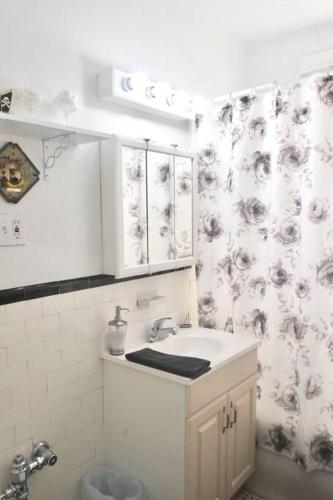 a bathroom with a sink and a shower curtain at (49.1W) Beautiful Getaway in Saint Louis in Saint Louis