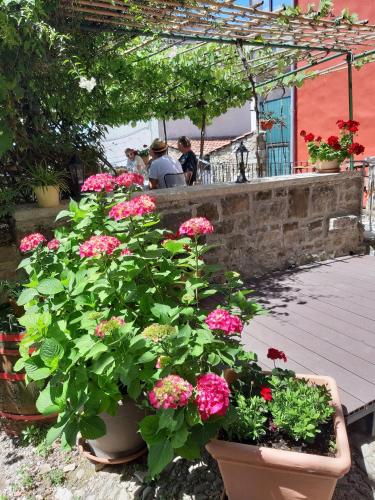 a group of flowers in pots on a patio at Guesthouse Villa Marija in Motovun