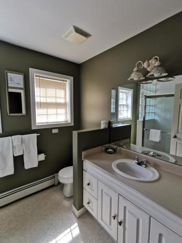 a bathroom with a sink and a toilet at Inn on the Harbour and Telegraph House in Port Stanley
