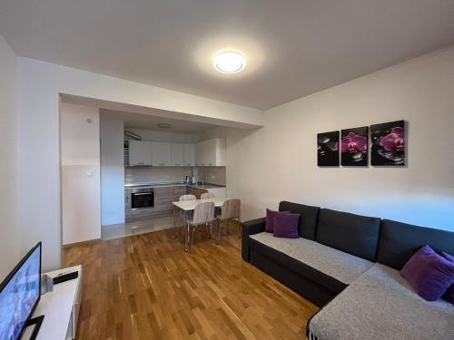 Η κουζίνα ή μικρή κουζίνα στο Apartman Lukana