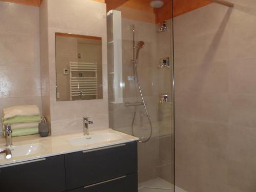 a bathroom with a sink and a shower with a glass door at L'Escale Dijonnaise in Dijon