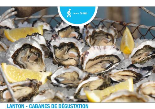 a bunch of oysters on ice with lemon slices at APPT LANTON PLAGE - PORT 6 Voyageurs in Lanton