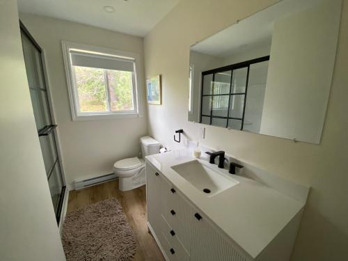 a bathroom with a sink and a mirror and a toilet at Barry's Bay Golf Resort in Barrys Bay
