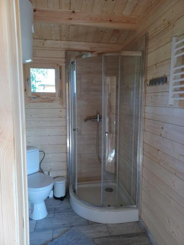 a bathroom with a shower and a toilet at Domki nad stawem in Sambród