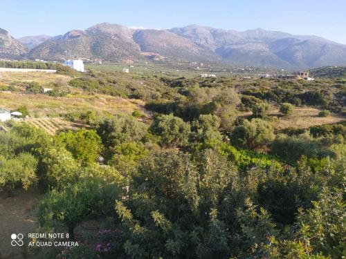 Φυσικό τοπίο κοντά σε αυτό το διαμέρισμα