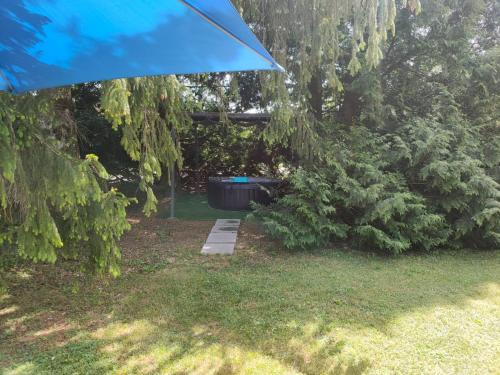 a garden with a tree and a large tub at La jurassienne in Champagnole