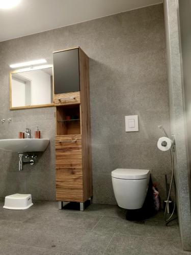 a bathroom with a toilet and a sink and a mirror at Apartmán Pod sjezdovkami in Dolní Morava