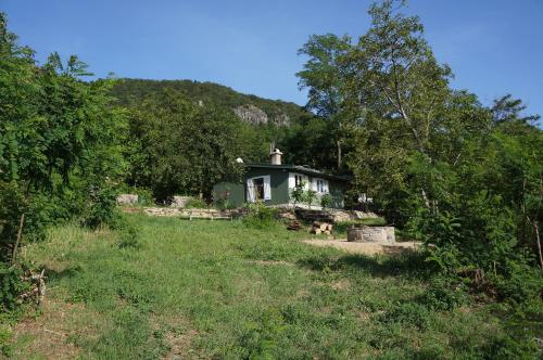 a small house in the middle of a field at Badacsony Vendégház in Badacsonytördemic