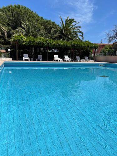 a large blue swimming pool with chairs and palm trees at MARICAMPO Monolocale con piscina e parcheggio in Marina di Campo