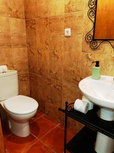 a bathroom with a toilet and a sink at Quinta do Vale Encantado "the Valley" - Santarém - Portugal in Calhariz