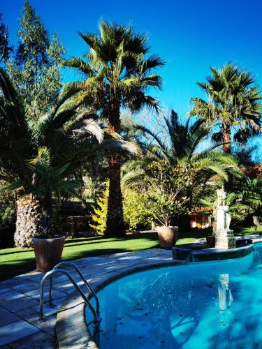 a swimming pool with palm trees in the background at Quinta do Vale Encantado "the Valley" - Santarém - Portugal in Calhariz
