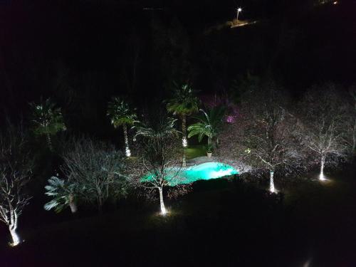 an overhead view of a swimming pool at night at Quinta do Vale Encantado "the Valley" - Santarém - Portugal in Calhariz