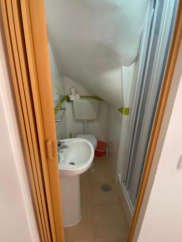 La petite salle de bains est pourvue de toilettes et d'un lavabo. dans l'établissement Faneca Beach Room - Faneca Apartamentos, à Nazaré