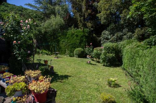 een tuin met planten en bloemen in het gras bij Maison à 30 mètres du lac et piste cyclable in Sévrier