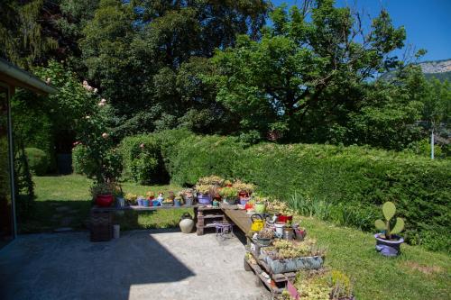 une table remplie de fleurs et de plantes dans une cour dans l'établissement Maison à 30 mètres du lac et piste cyclable, à Sévrier